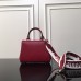 Louis Vuitton Cluny Mini Bag M58928