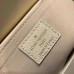 Louis Vuitton Favorite handbag - M46393 new color M45859