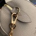 Bolso Louis Vuitton Speedy bandoulière 20 - Gris M46575