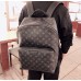 Ransel Louis Vuitton Apollo M43186