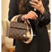 Louis Vuitton CLUNY mini handbag M46055